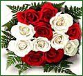 12 White & Red Dutch Roses Bouquet
